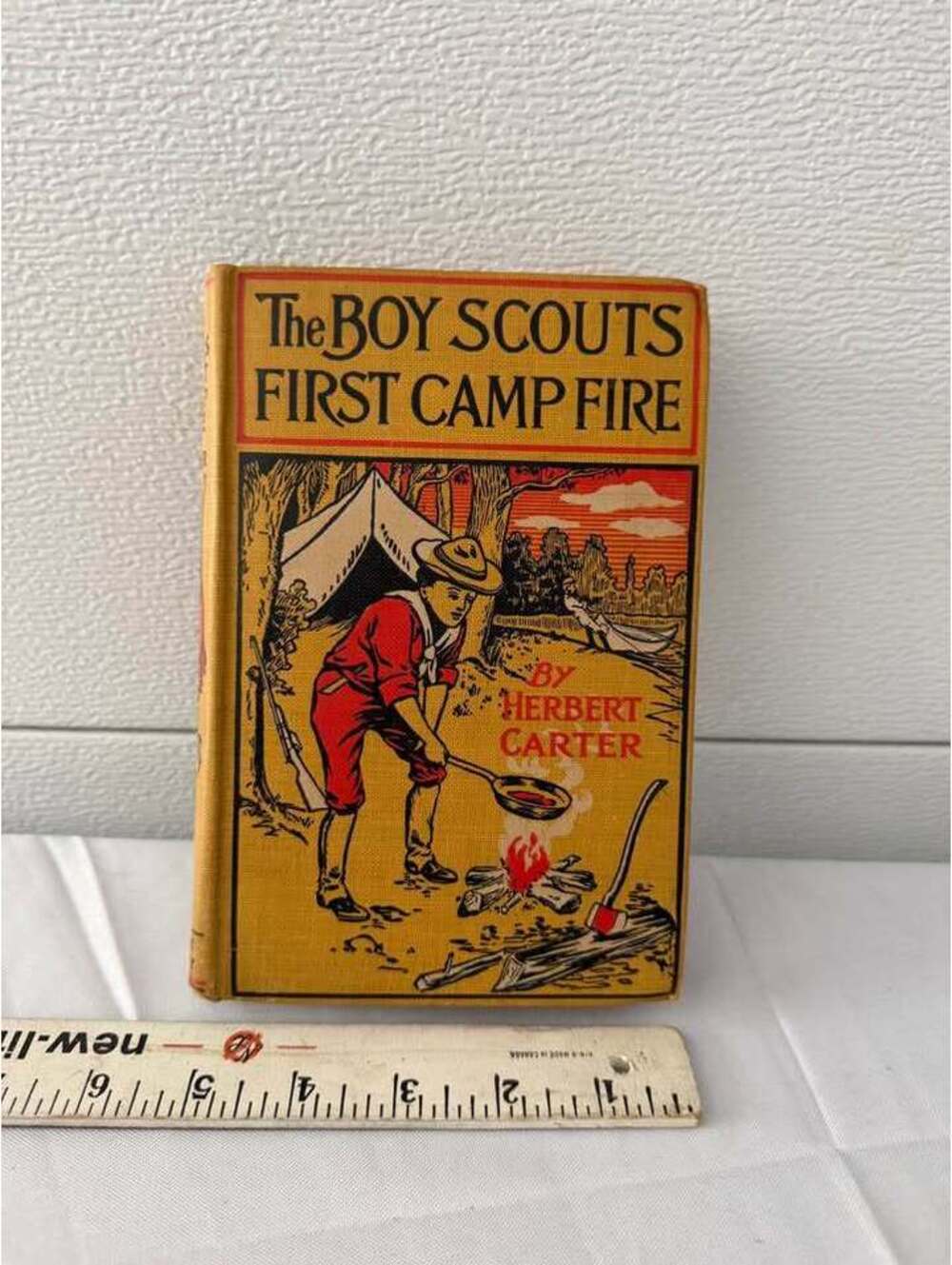 The Boy Scouts' First Camp Fire by Herbert Carter (1913)
